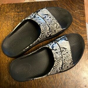 Black and White Snake Print Slides